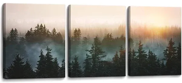 SDYA Forest Bathed in Sunlight Canvas Print