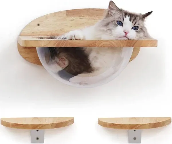 FUKUMARU Cat Wall Furniture Set Clear Capsule Cat Wall Shelf with 2 Pedals