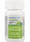 Nemacor Cat Tapeworm Plus