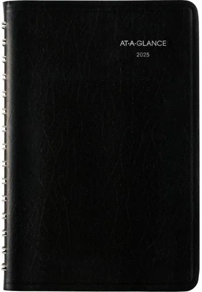 2025 At-a-glance G100-00 Daily Appointment Book