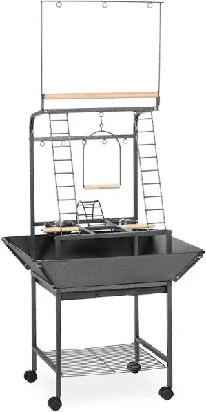 Prevue Pet Small Parrot Playstand