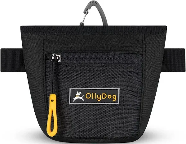 OllyDog Goodie Treat Bag