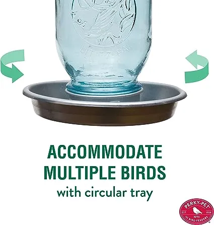 Perky-Pet Mason Jar Wild Bird Waterer