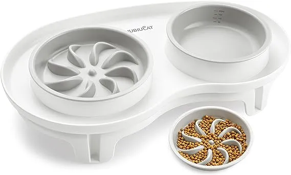 Biubiucat Elevated Cat Slow Feeder Bowl