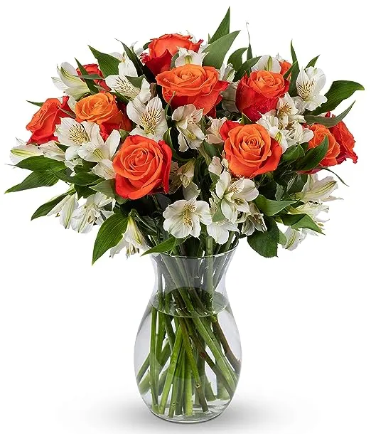 Benchmark Bouquets Signature Roses and Alstroemeria, Prime Delivery, Vase Included, Grower Direct Fresh Cut Flowers, Gift for Home Décor, Birthday, Anniversary, Get Well, Sympathy, Friendship and Love