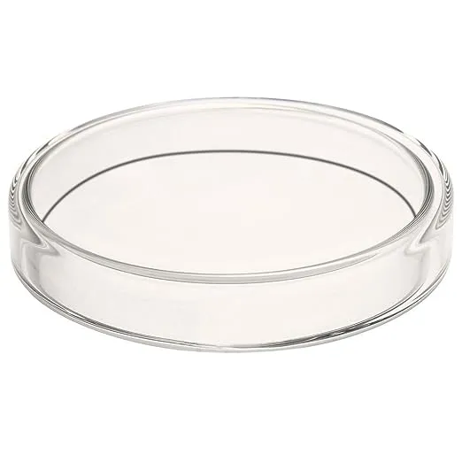 Ronyes Lifescience Glass Petri Dish Petri Plates Tissue Culture Plate 5 Pcs (90 mm) JJ380456