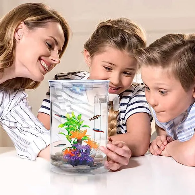 Betta Fish Tank