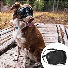 Rex Specs V2 Dog Goggles