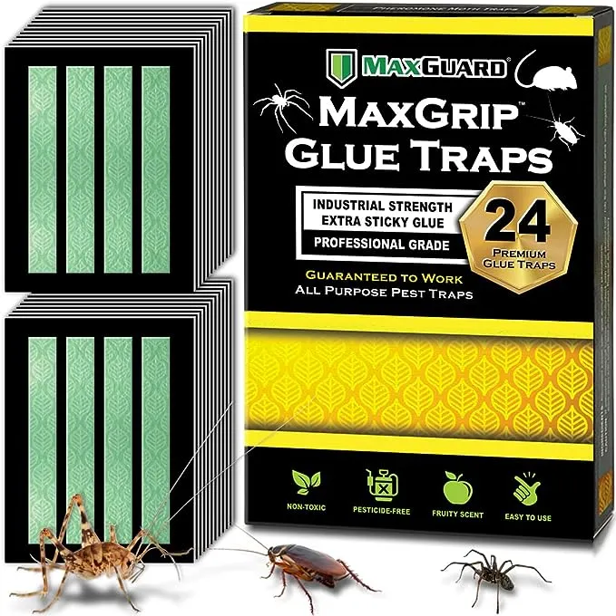 MaxGuard MaxGrip Glue Traps (24 Traps) Non-Toxic Extra Sticky Glue Board Pre-...