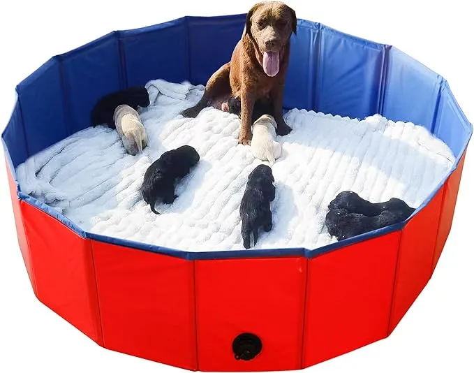 Artilife Whelping Pen for Dogs,Whelping Box for Dogs and Puppies,Dog Birth Supplies,Portable Whelping Pool Whelping Box,Foldable Dog Bath Pool(47inch Dia.x12inch H(120x30cm))