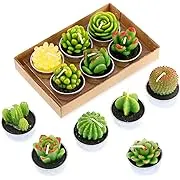 Candles Succulent Cactus 12Pcs Decorative Tealight Smokeless Plants House