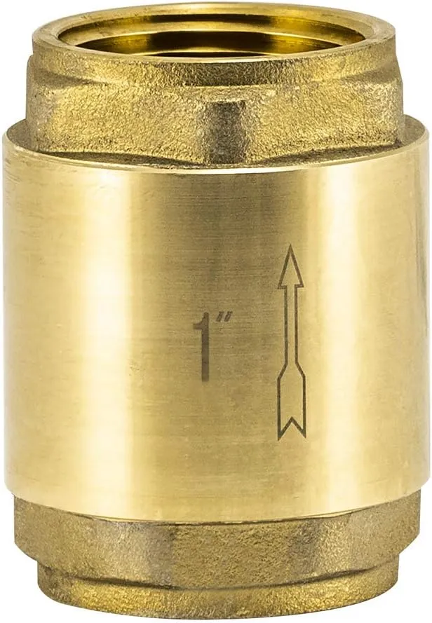 EZ-FLO Brass In-Line Check Valve, 1 Inch IPS, Stainless Steel Spring, 20405LF