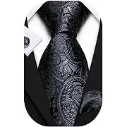 Barry.Wang Paisley Tie Fashion Set Hanky Cufflinks Neckties for Men Woven Silk