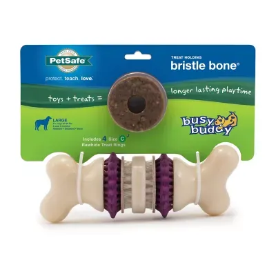 PetSafe Busy Buddy Dental Health Bristle Bone Dog Chew Toy, Large