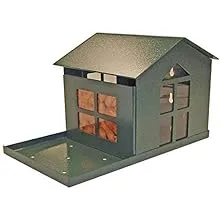 Green Food Pantry Squirrel Feeder