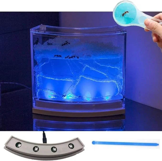 Navadeal Ant Farm Habitat for Kids w/ LED Light - Great Educational & Science Kit ...