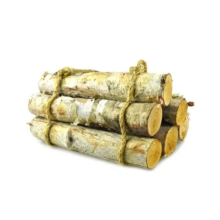 Natural Birch Wood Roped Log Bundle 10-Inch 6-Count