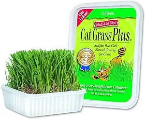 Miracle Care Cat Grass