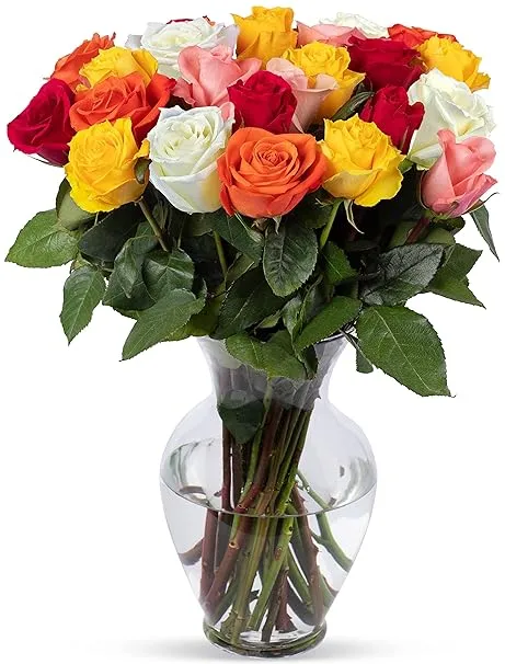 Benchmark Bouquets 2 Dozen Rainbow Roses, with Vase (Fresh Cut Flowers)