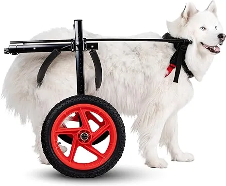 Best Friend Mobility PRO Dog Wheelchair for Back Legs Dog Cart is Easy Adjustable -Choose Size for Your Dog Ranging from Medium to XL -Dog Hind Leg Wheels to Assist in Healing & Give Mobility (Large)