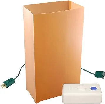 The Holiday Aisle Electric Luminaria Kit