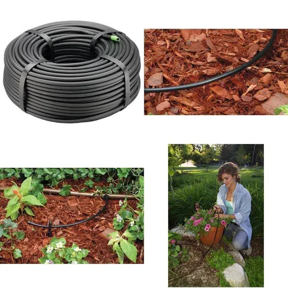 Rain Bird 1/4 in. x 250 ft. Distribution Tubing for Drip Irrigation T22-250SX