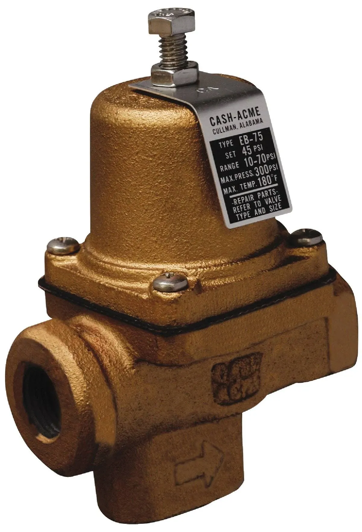 Reliance 22999-0045 0.5 in. Iron Body Press Regulator