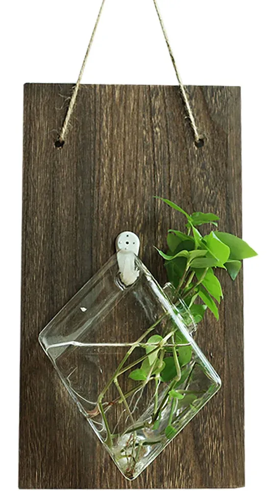 Wall Hanging Glass Terrariums Planter Oblate Flower Vase for Hydroponics Plants ...