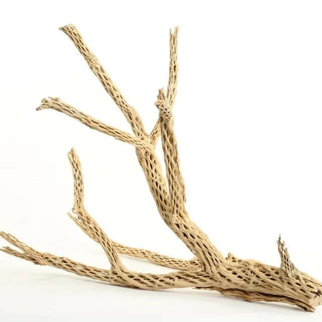 Koyal Wholesale Cholla Wood Aquarium Branches