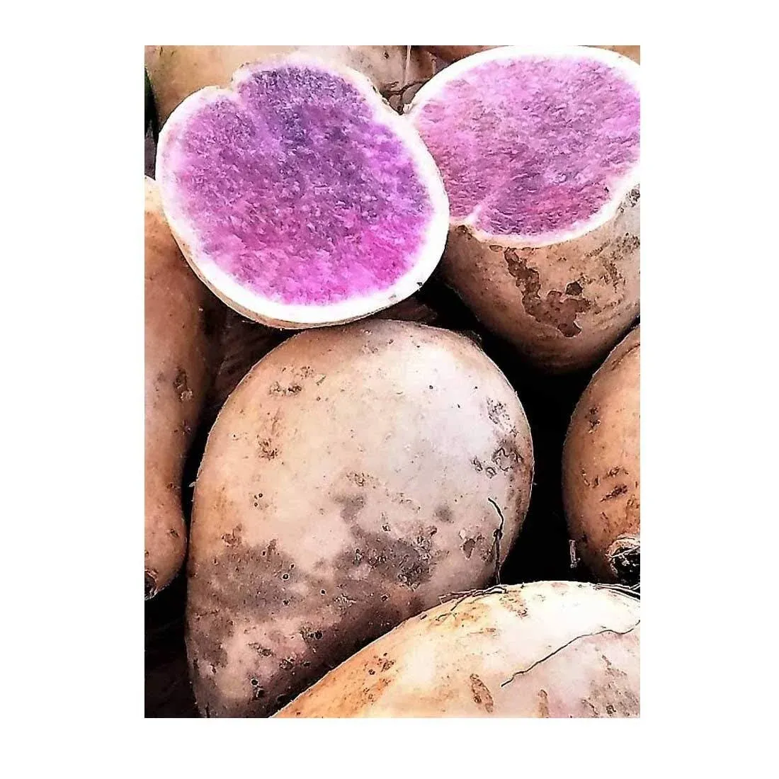 TastePadThai Okinawan Hawaiian Purple Sweet Potatoes 3 lbs.