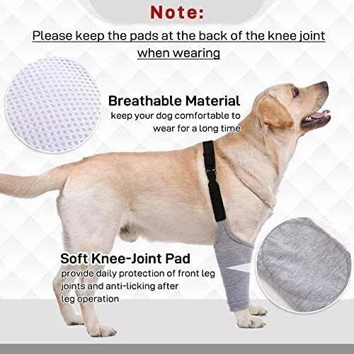 Dog Recovery Suit for Front Legs, Dog Recovery Sleeves After Surgery with Elastic Band, Soft Protective Elbow Braces for Medium Large Dogs, Cone Collar Alternative to Stop Licking Leg Wounds,Grey,L