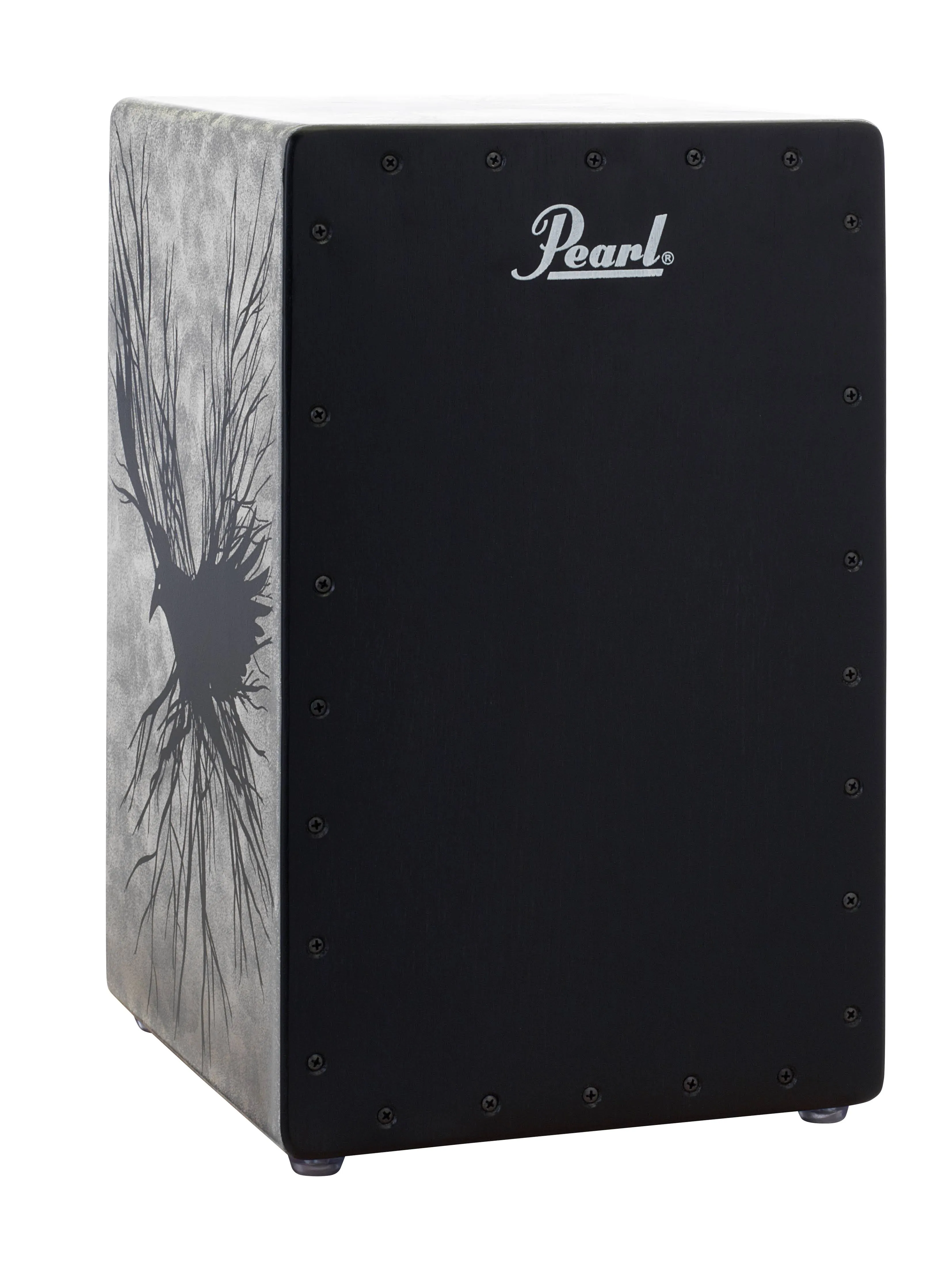 Pearl The Raven Cajon