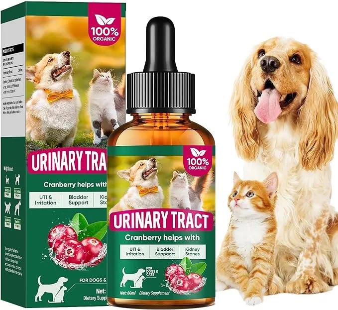 Fancy Pets Cat & Dog Urinary Tract Infection Treatment, Natural Dog UTI Treatment ...