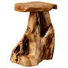 Cedar Roots Table Stand, 14"x16.5"x19.5" - Rustic - Side Tables And End Tables - by BNF Home | Houzz