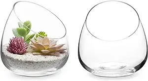 MyGift 5 Inch Premium Clear Glass Air Plant Terrarium, Mini Candy Bowl Jar, Tealight Candle Holder, Succulent Cactus Plant Vase, Set of 2