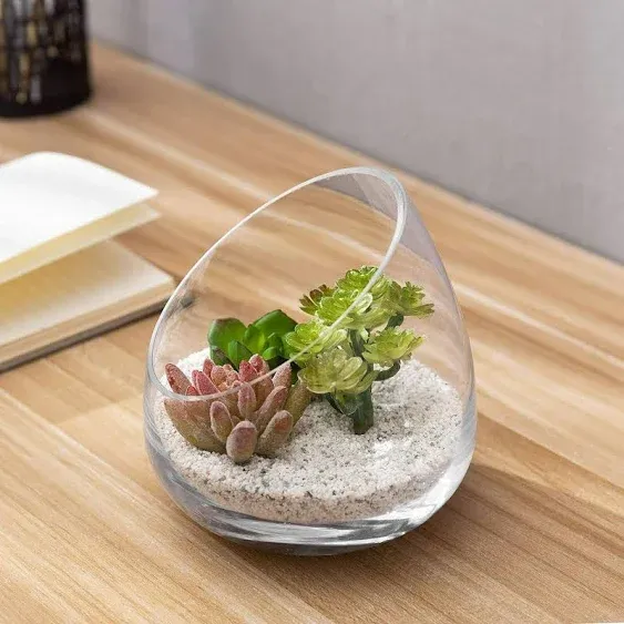 MyGift 5 Inch Premium Clear Glass Air Plant Terrarium, Mini Candy Bowl Jar, Tealight Candle Holder, Succulent Cactus Plant Vase, Set of 2