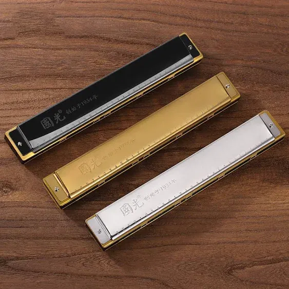 28 Holes Polyphonic C Professional Chromatic Harmonica, Mouth Organ ...