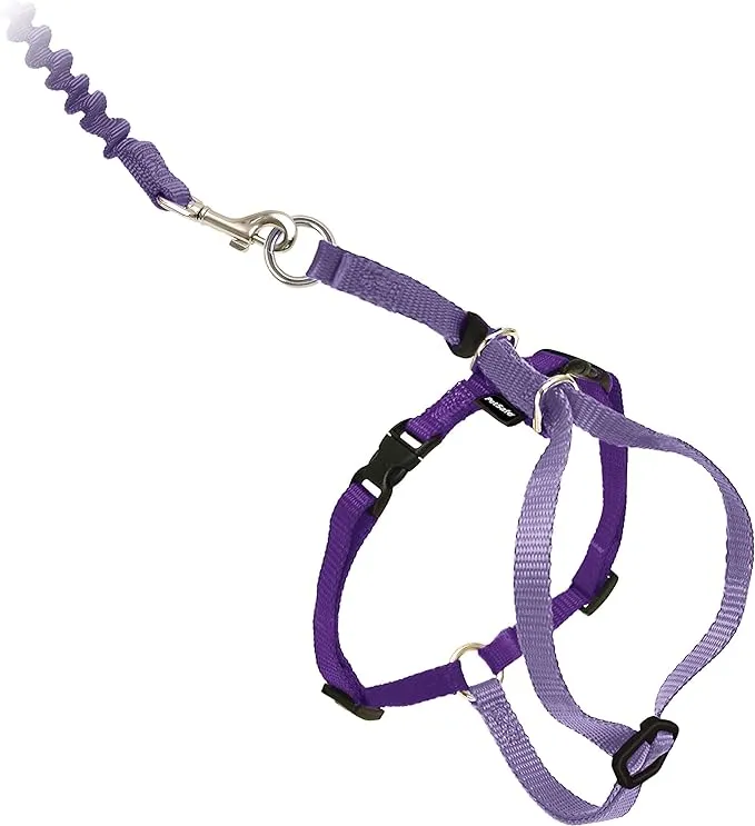 PetSafe Come with Me Kitty Harness and Bungee Leash, Harness for Cats, Small, Royal Blue/Navy