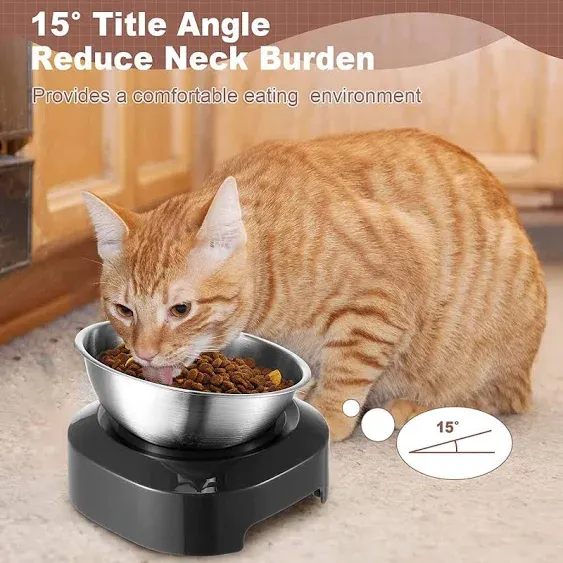 Raised Elevated Tilted Cat Food And Water Stainless Steel Feeder Bowls