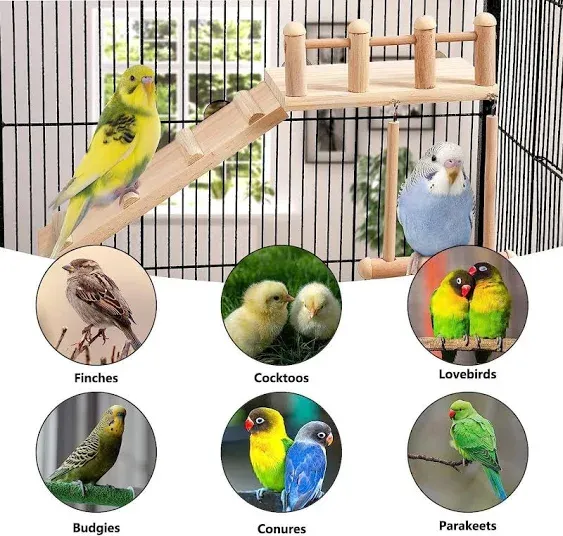 Bird Perches Platform Swing with Climbing Ladder, Parakeet Cage Accessories Wooden Playing Gyms Exercise Sturdy for Small Birds