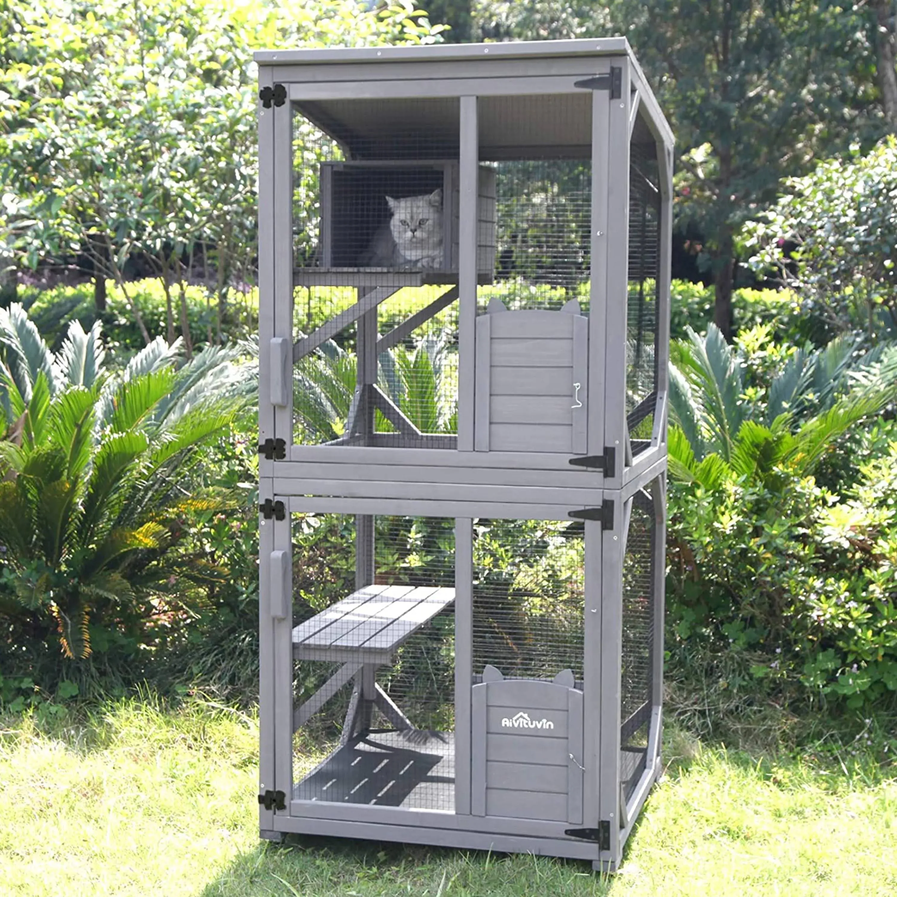 Cat House, Outdoor Cat Catio, AIR22