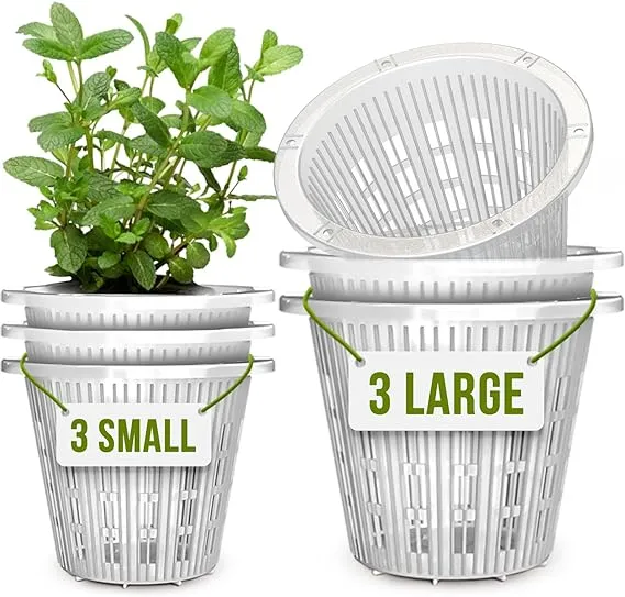 Flora Flair Orchid Pots | 3 Large, 3 Small | 5.5 in Orchid Pots with Holes |Clear Orchid Pots for Repotting| Plastic Plant Pots for Orchid, Plants | Plastic Orchid Planter for Home, Lawn & Garden