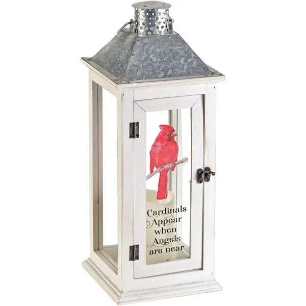 Cardinals Appear Lantern White 17" - Transitional - Candleholders - by New and Exciting Dicksons and Jozie B. | Houzz