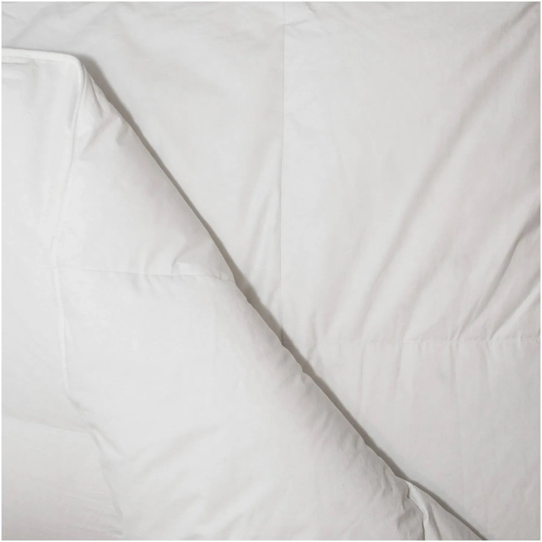 Down Etc White Goose Down Comforter King