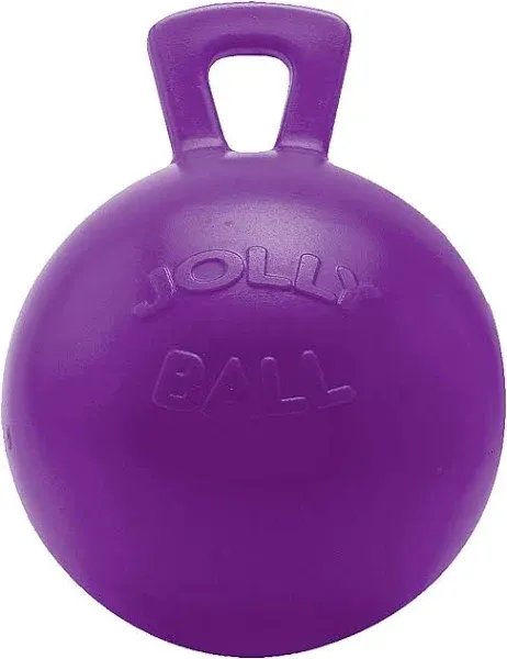 Horsemen&#039;s Pride 10&#034; Horse Jolly Ball Purple 10 Inch, 