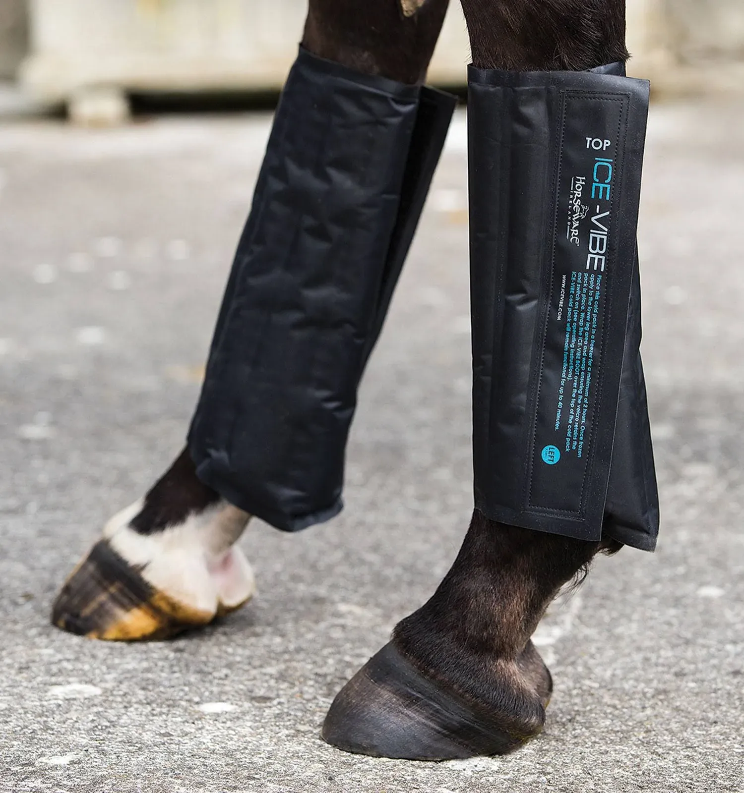 Horseware Ice Vibe Beaded Cold Packs