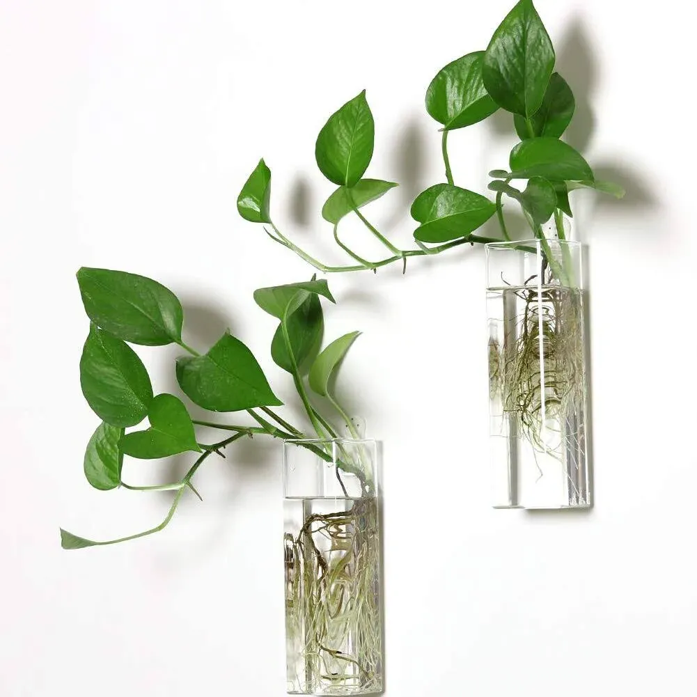 PACDONA Wall Hanging Planters Glass Terrariums Plants Holders Flowers Glass Wall Vase Containers