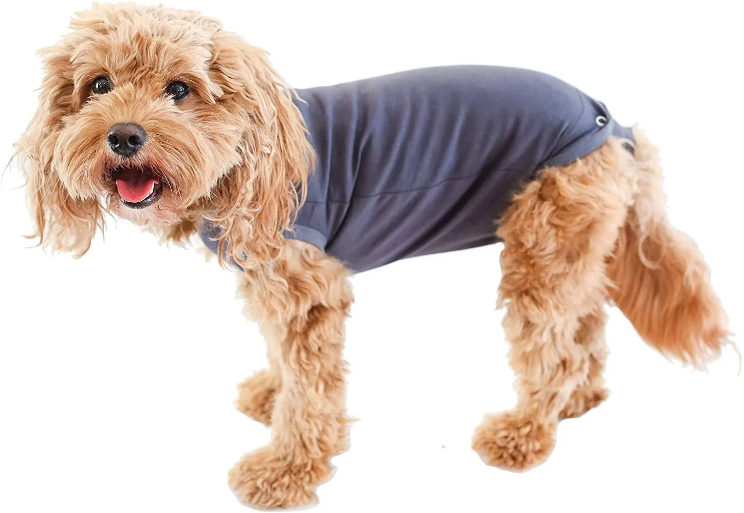 BellyGuard Dog Recovery Suit