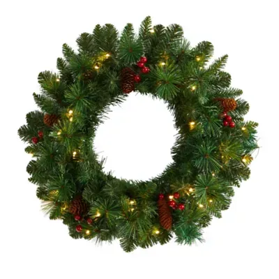 Frosted Pine Artificial Christmas Wreath With Pinecones, Berries And 35 Warm Led Lights, 20" In Green