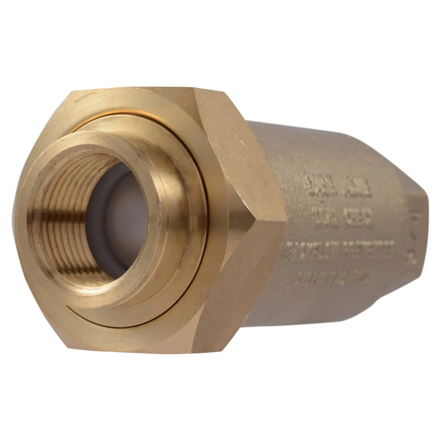 Cash Acme BF13434 Dual Check Valve